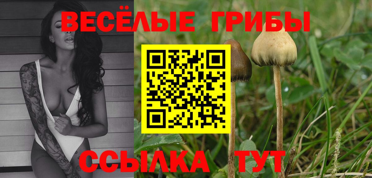 Псилоцибиновые грибы MAGIC MUSHROOMS Кохма