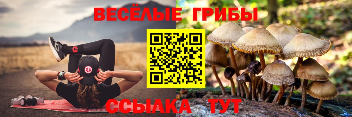 Псилоцибиновые грибы GOLDEN TEACHER  Вход с VPN  Кохма 